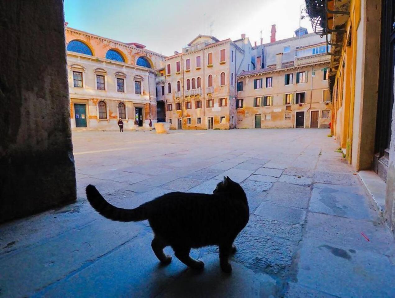 Appartamento CA'Rialto Venezia Esterno foto